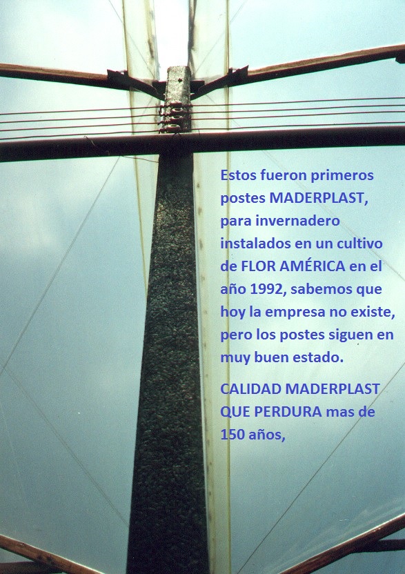 invernaderos para flores en madera plástica maderplast invernadero flor cortada maderas inmunizadas tratadas postes parales mojones care vaca carevaca cerchas estructuras invernadero canal 001 invernaderos para flores en madera plástica maderplast invernadero flor cortada maderas inmunizadas tratadas postes parales mojones care vaca carevaca cerchas estructuras invernadero canal 001